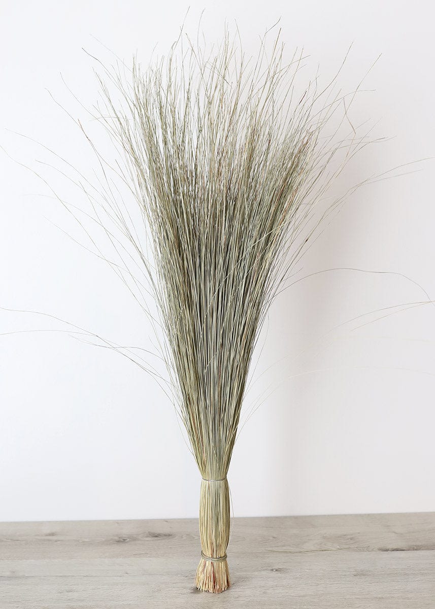 Preserved Coastal Dune Grass - 36"