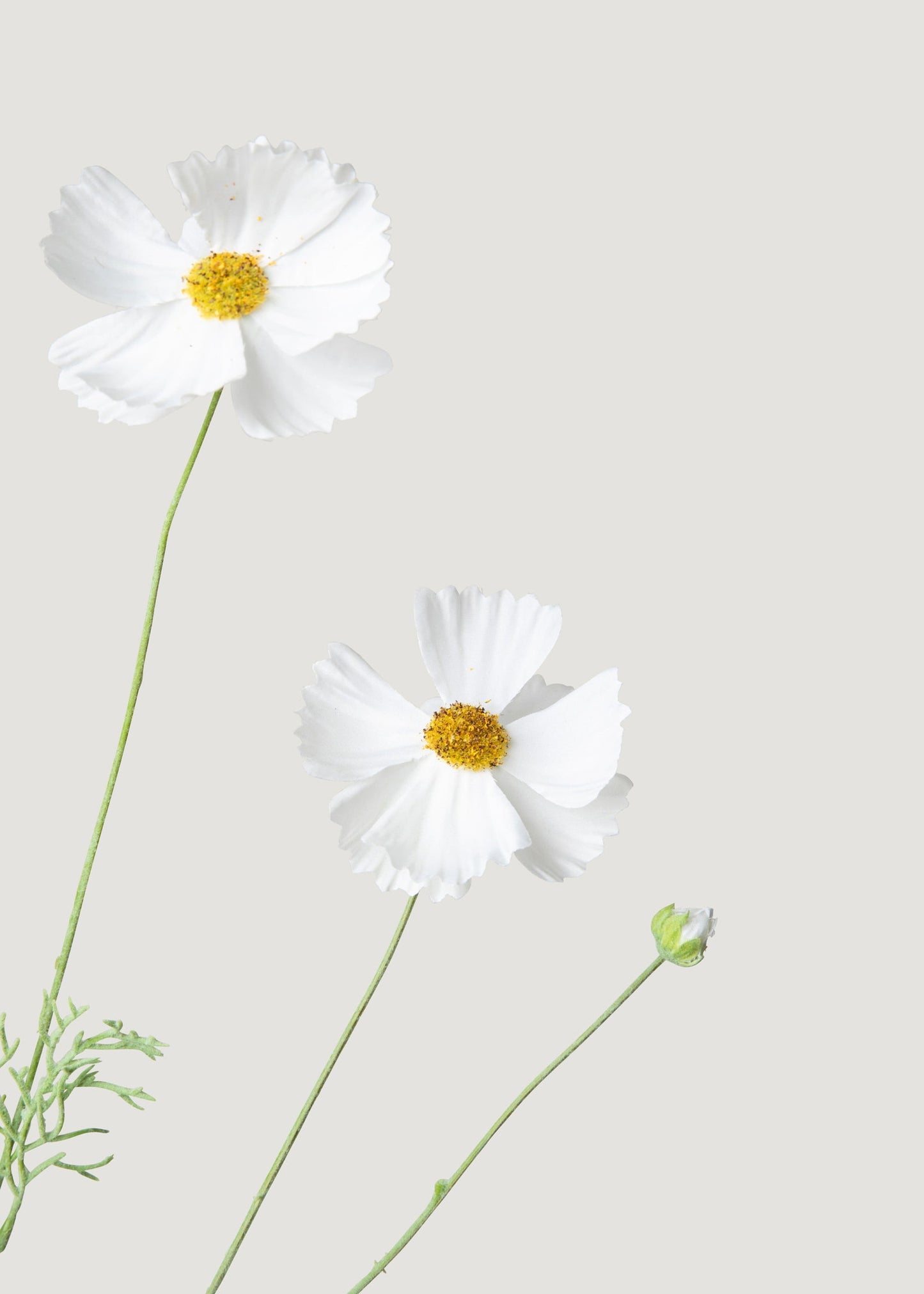 Faux Cosmos Daisy Wildflowers in White - 36.25"