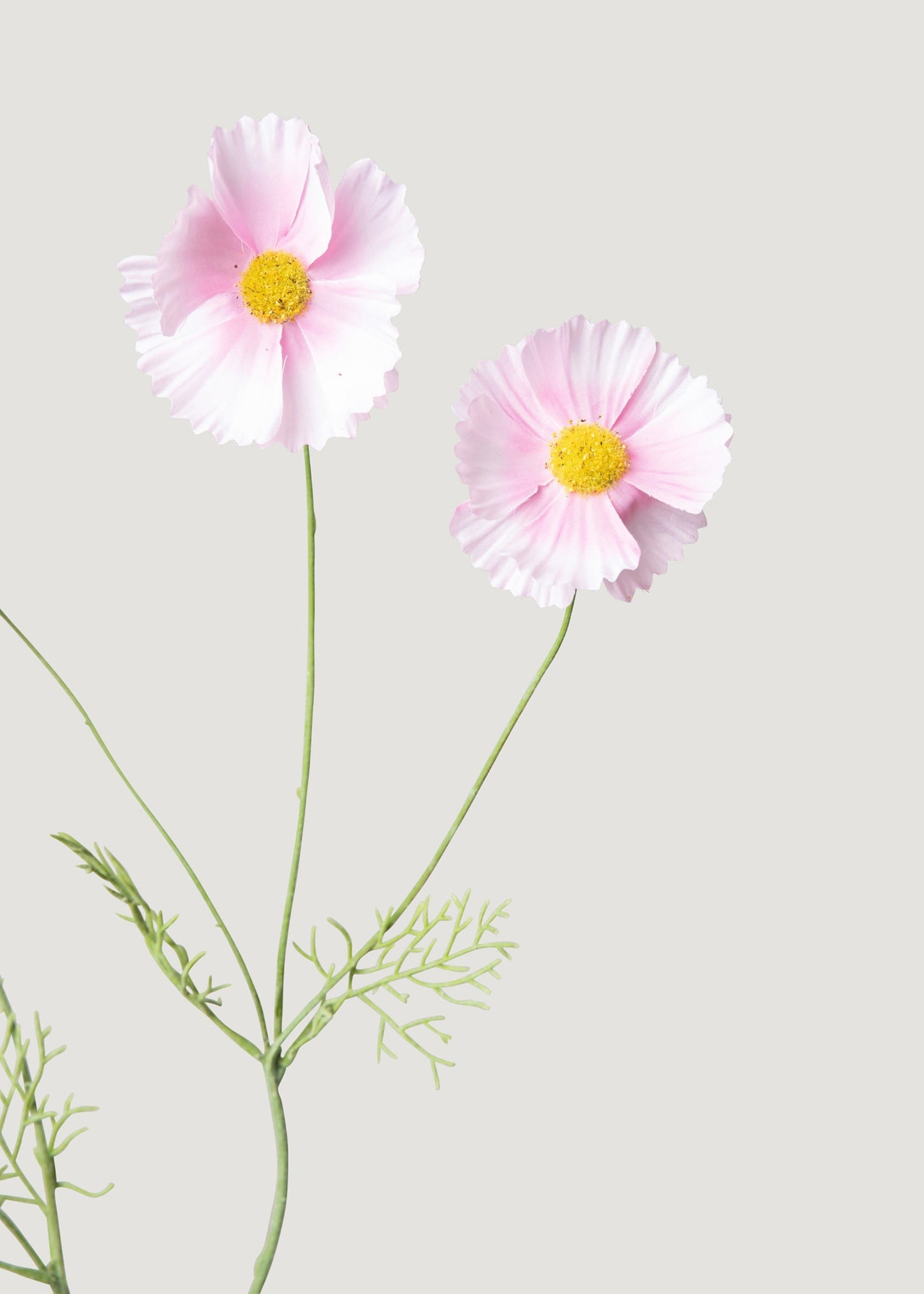 Pink Artificial Cosmos Daisy Flowers - 36.25"