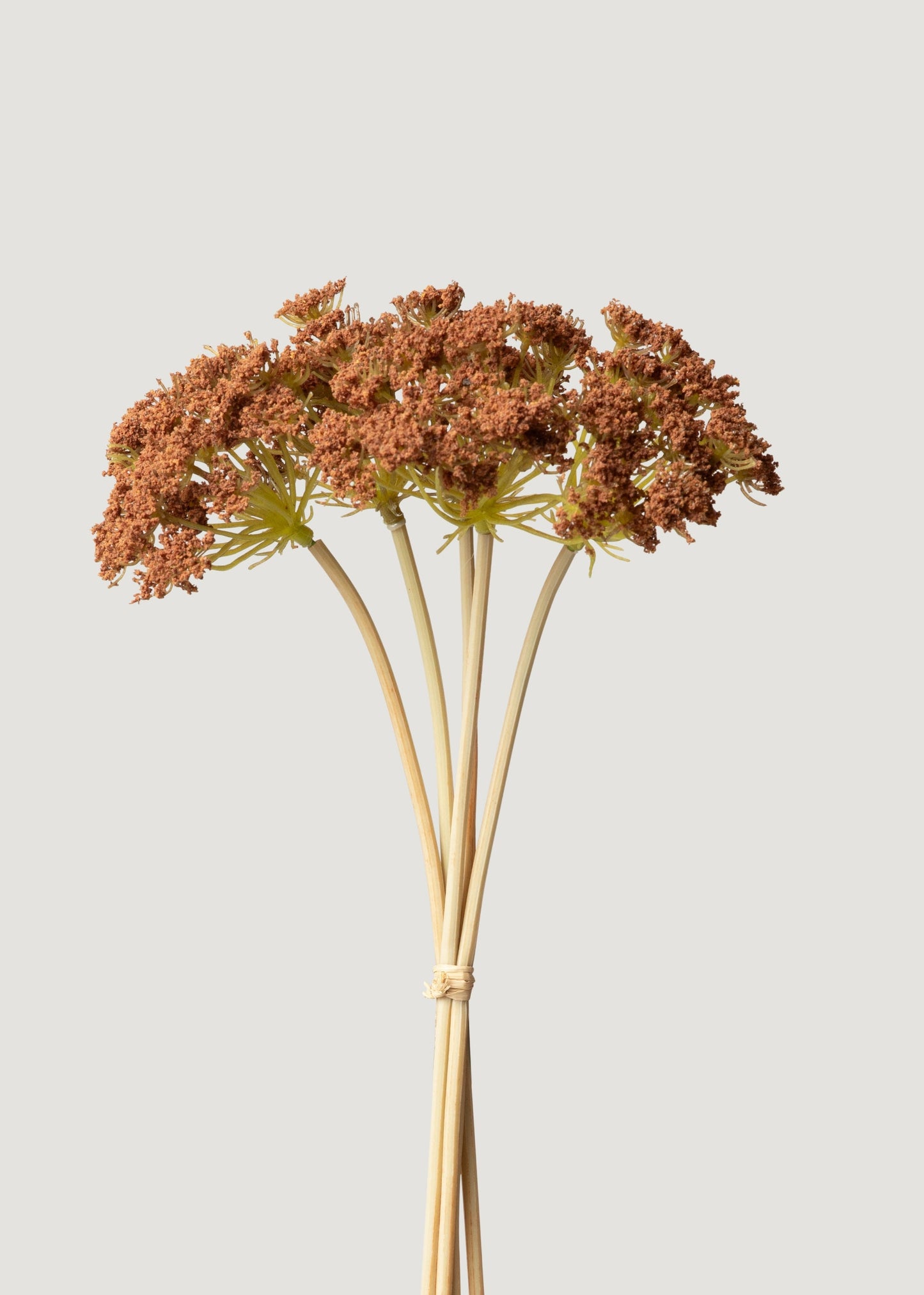 Bronze Brown Faux Yarrow Bundle of 5 - 18.75"