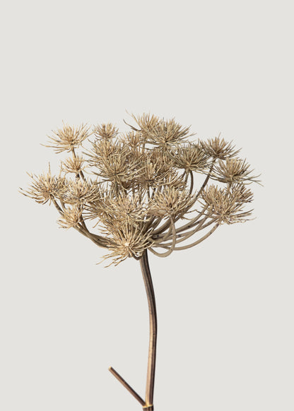 Natural Brown Artificial Wild Angelica Flower - 35.25"