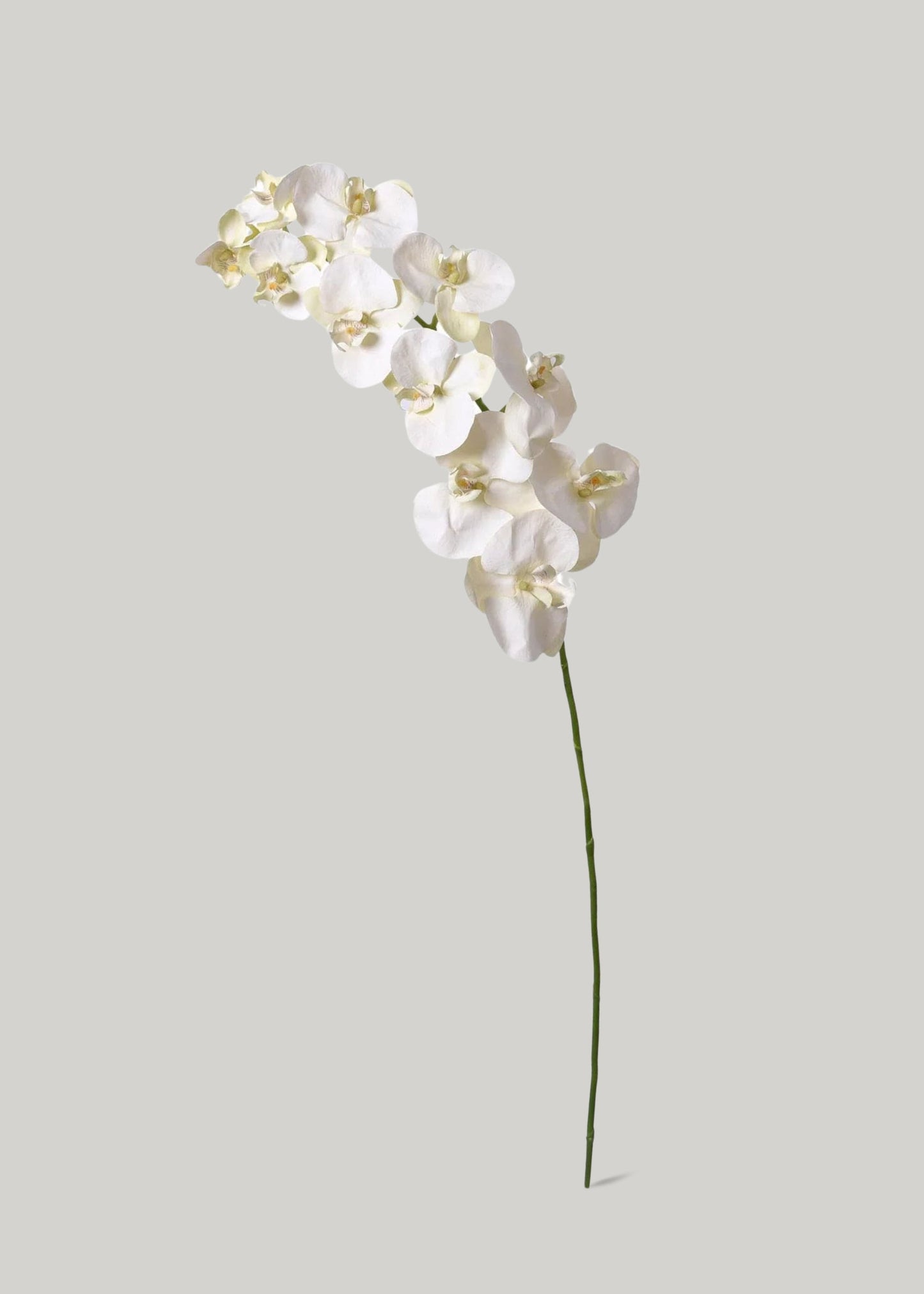 White Cream Artificial Phalaenopsis Orchids - 39"