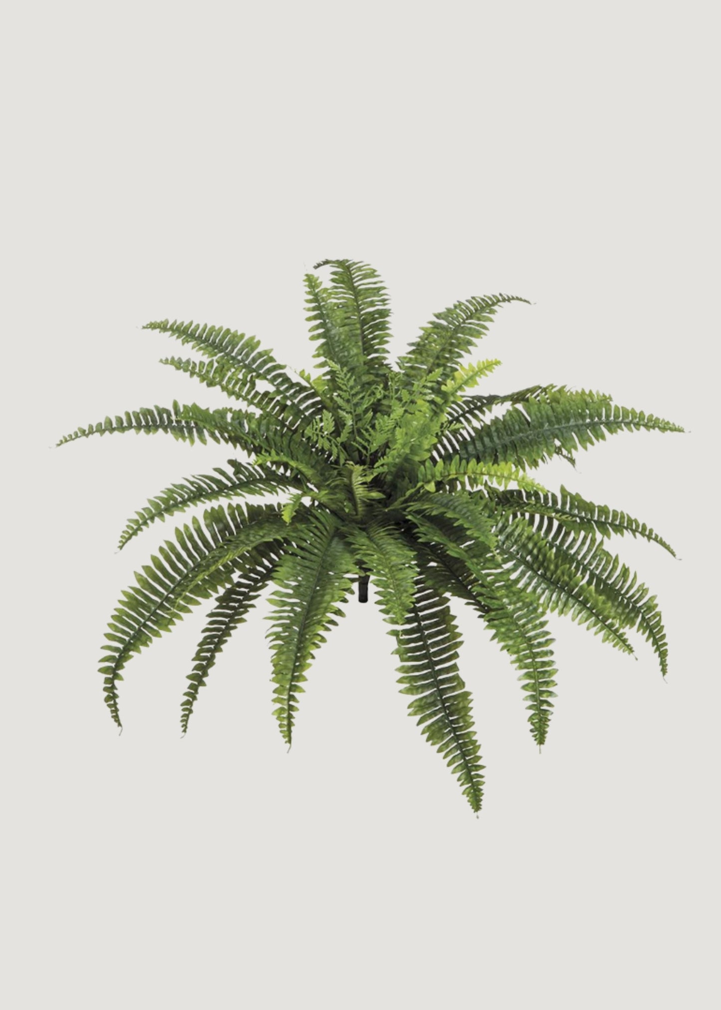 UV Treated Indoor/Covered Outdoor Faux Hanging Boston Fern Plant - 23"