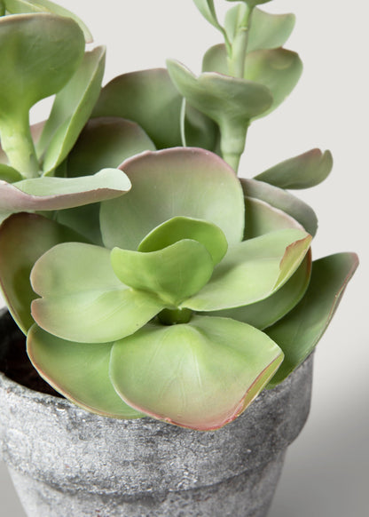 Artificial Succulent Plant in Pot - 16.5"