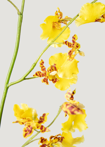 Artificial Dancing Orchids in Yellow - 46"