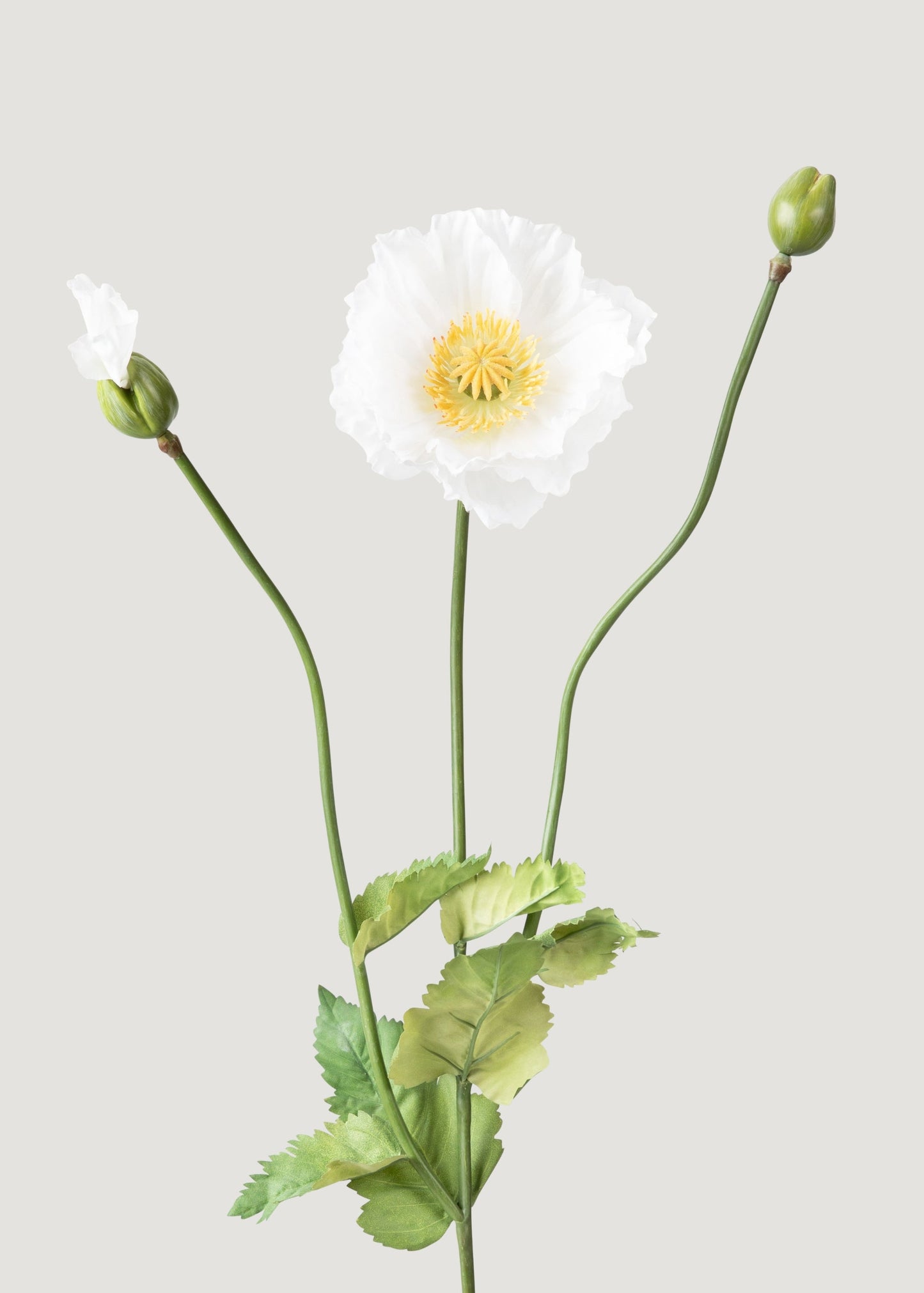 Faux Poppy Flower in Cream White - 31"