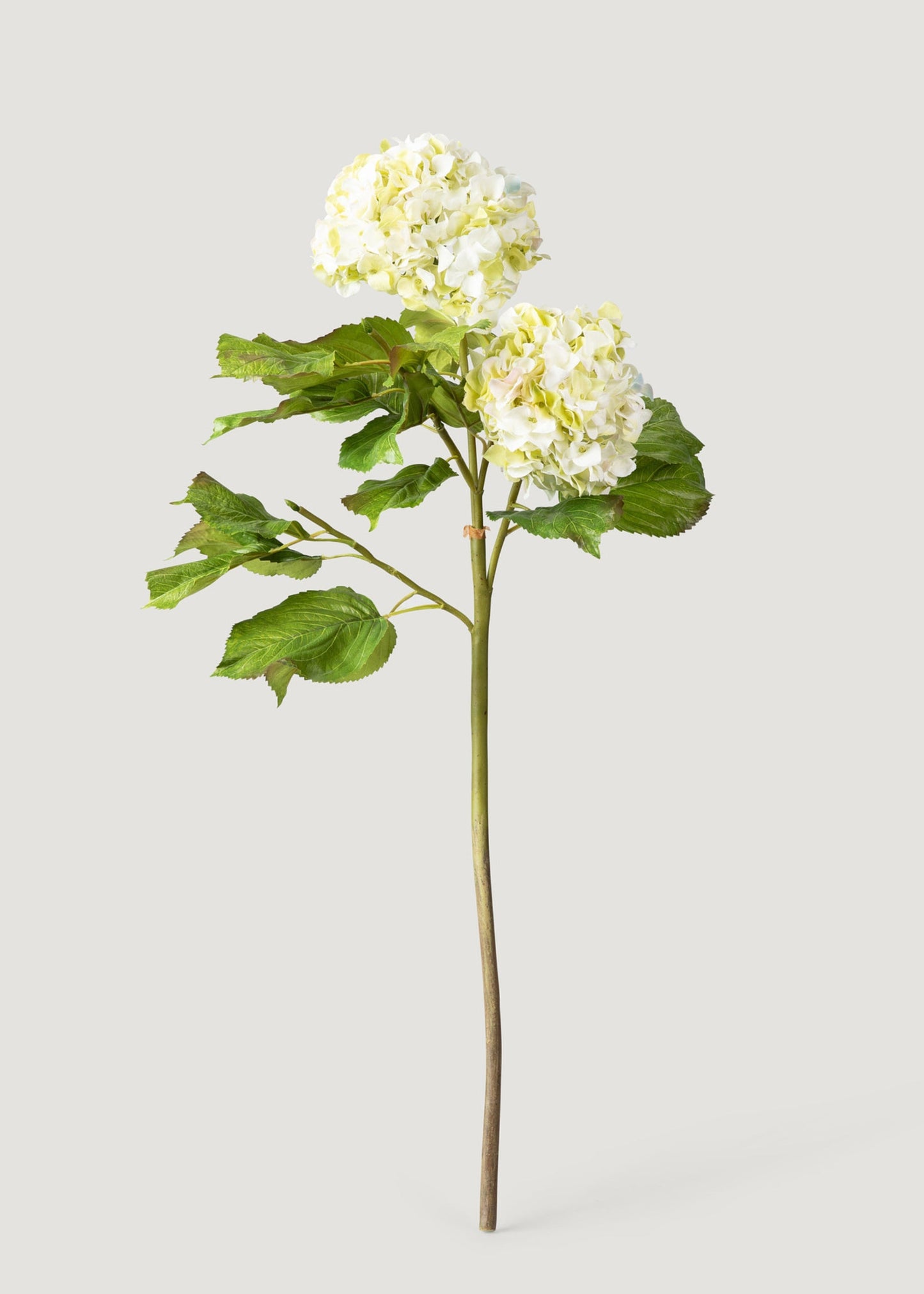 Cream Green Faux Hydrangea Branch - 36"