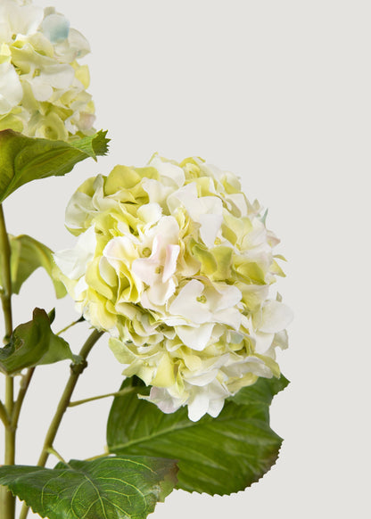 Cream Green Faux Hydrangea Branch - 36"