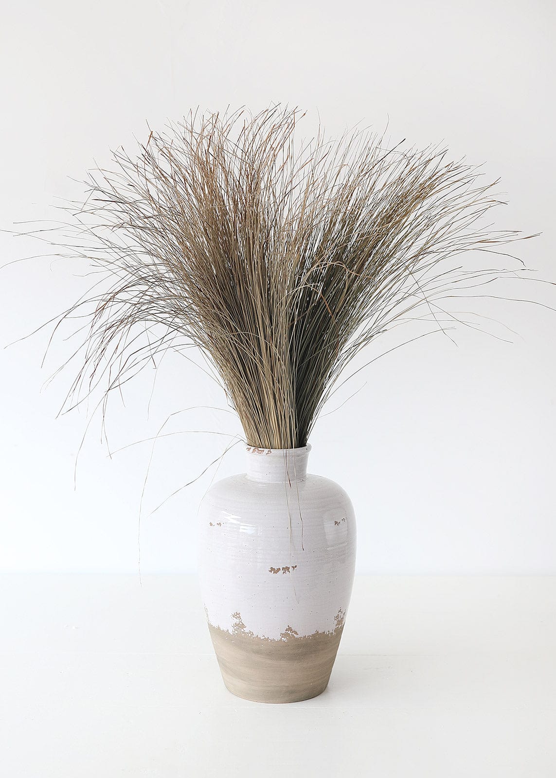 Preserved Coastal Dune Grass - 36"