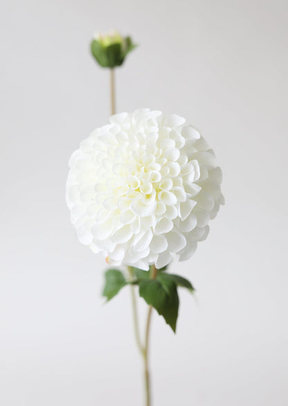 Blooming Fake Dahlia in White - 31"