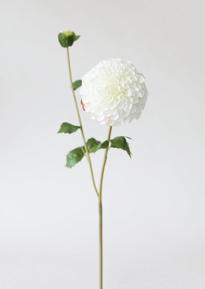 Blooming Fake Dahlia in White - 31"