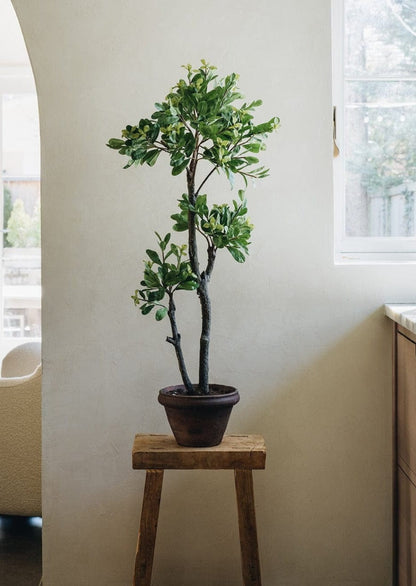 Artificial Euonymus Japonicus Potted Tree - 39.75"