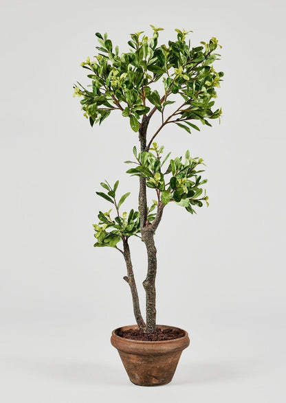 Artificial Euonymus Japonicus Potted Tree - 39.75"