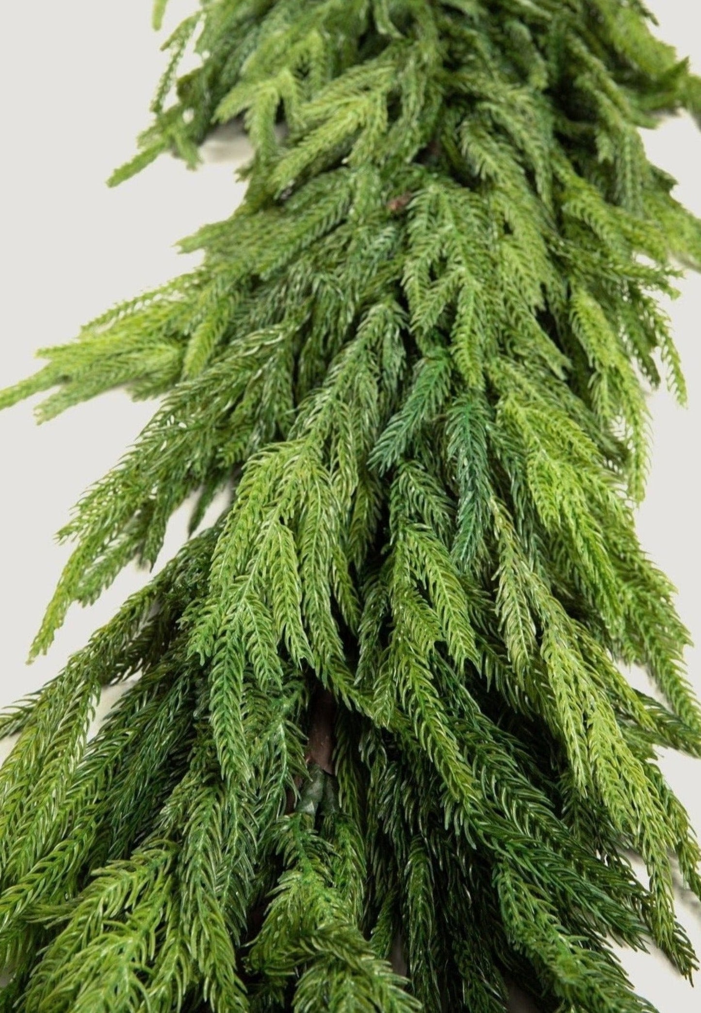 Afloral Deluxe Norfolk Pine Real Touch Garland - 72"