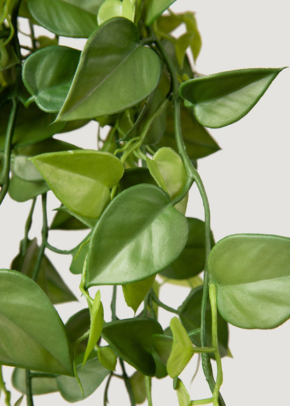 Artificial Plants Hanging Philodendron Bush - 32"