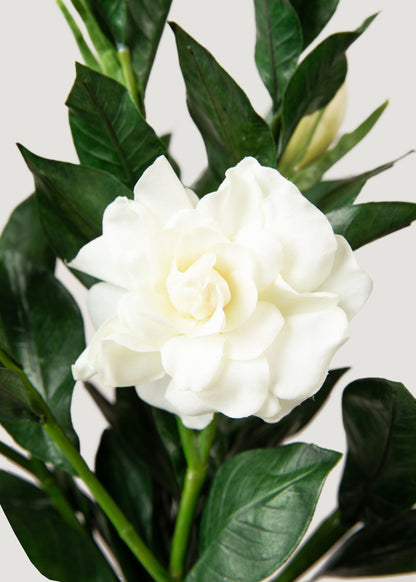 Deluxe Cream Artificial Gardenia Flower Branch - 19"