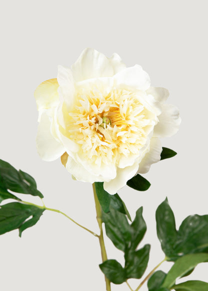 Artificial Peony Flower in Cream White - 28.5"