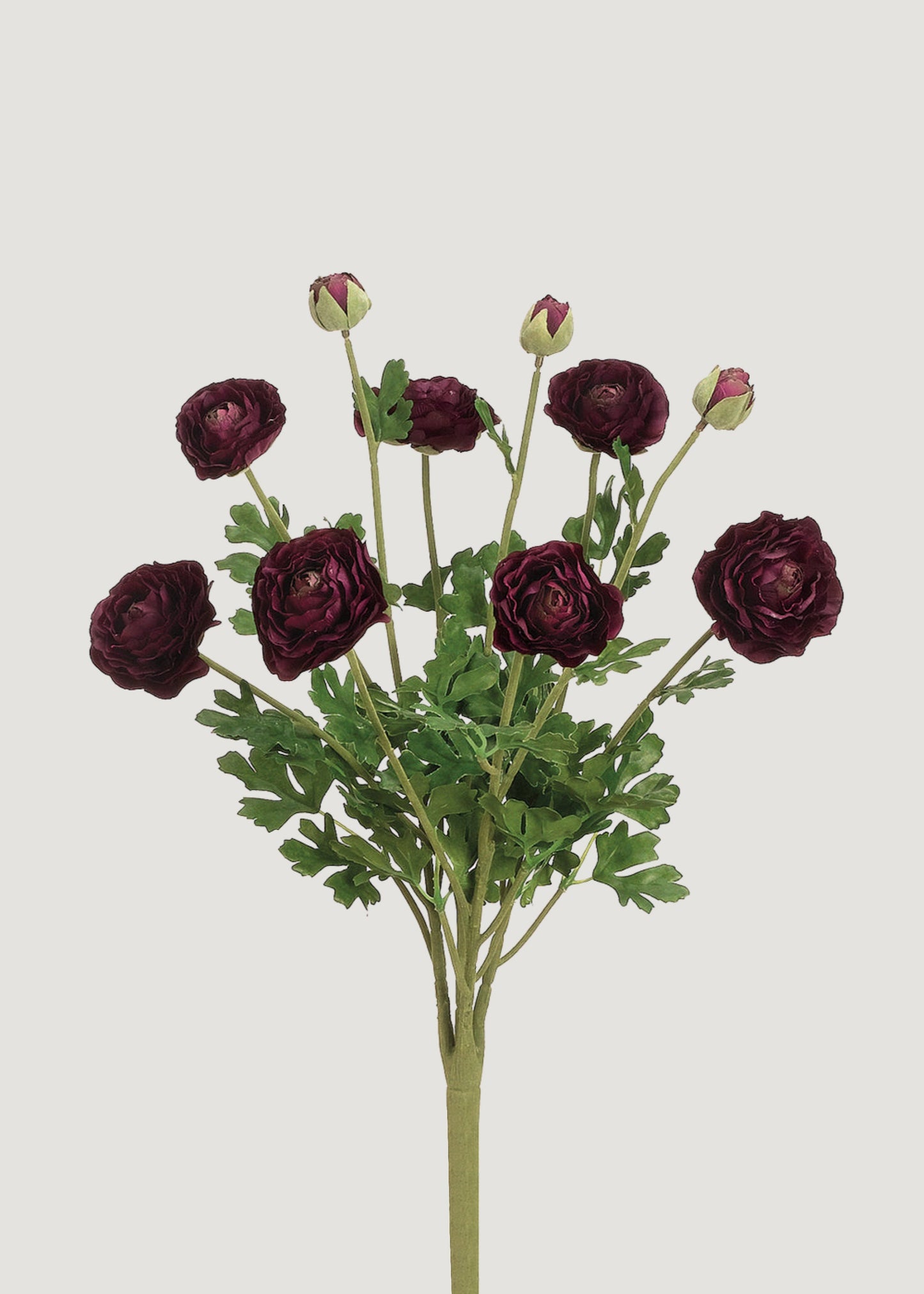 Artificial Ranunculus Flower Bush in Aubergine - 19"