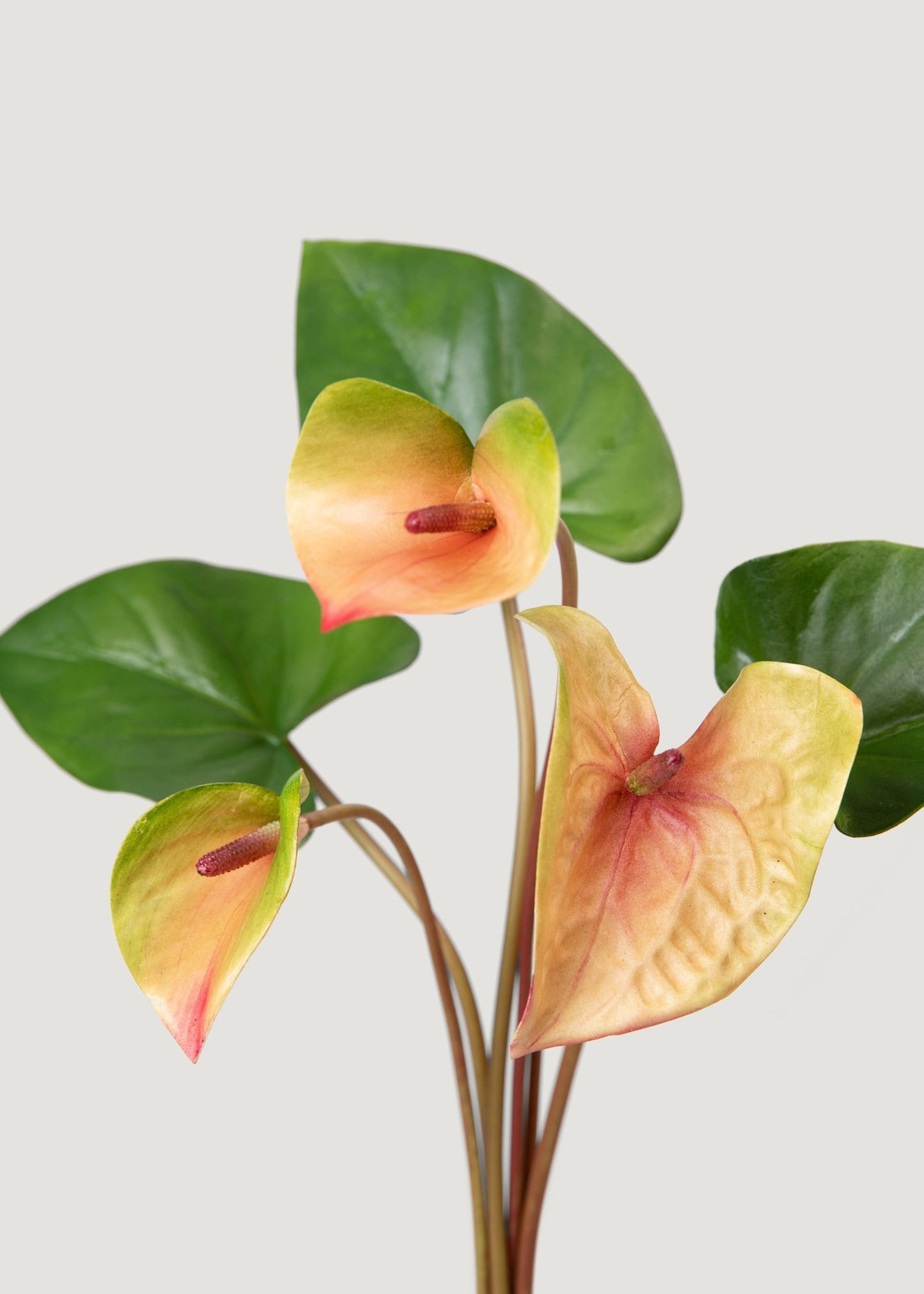 Pink and Green Faux Tropical Anthurium Flower Bundle - 25"