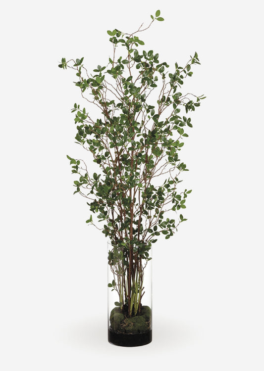 Artificial Tree Plant in Glass Cylinder Vase - 60"