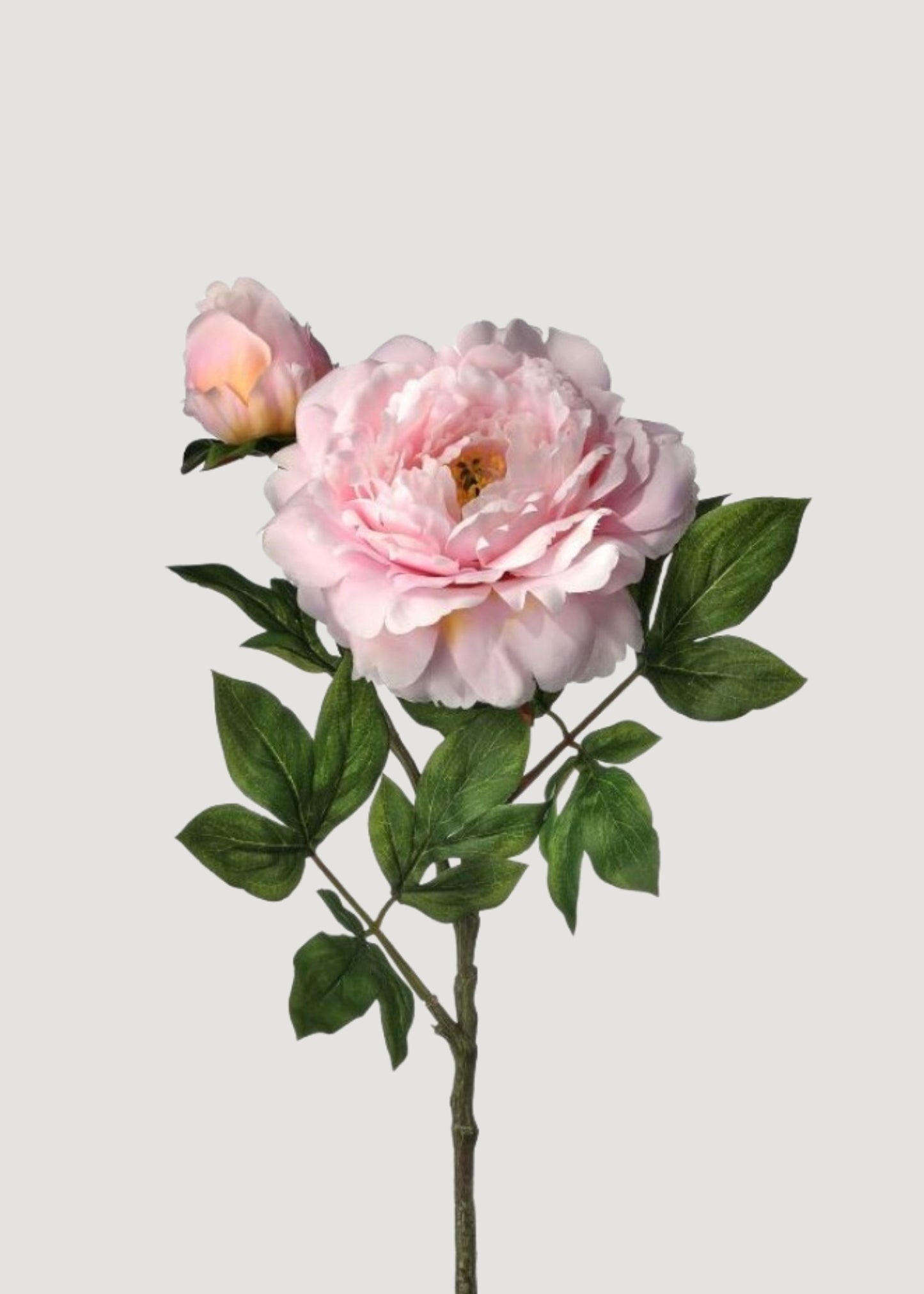 Deluxe Pink Faux Queen Garden Peony Flower - 30"