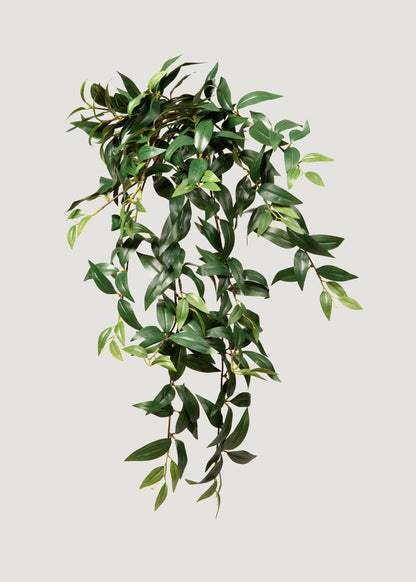 Fake Ruscus Leaf Hanging Plant - 31"