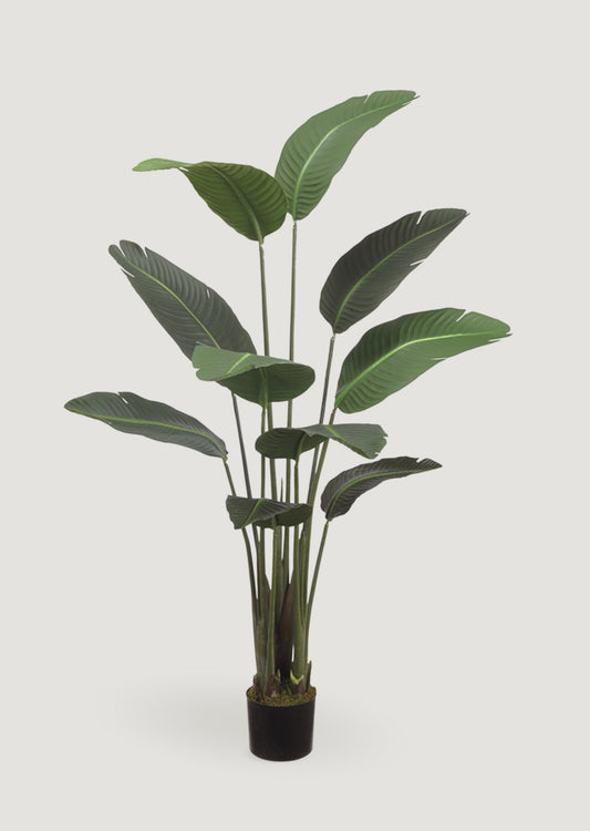 Artificial Bird of Paradise Fake Potted Plant - 60"