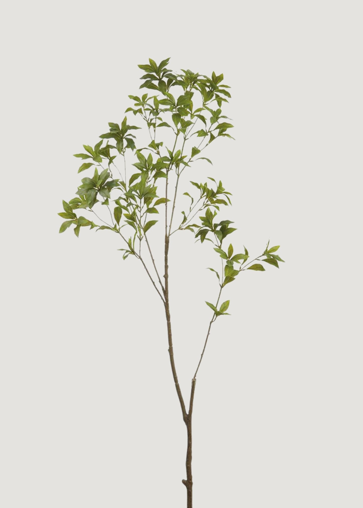 Deluxe Tall Japonica Fake Leaf Branch - 59"