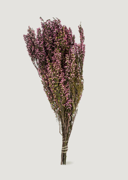 Dried Flowers Pink Preserved Heather Bundle - 18-20"