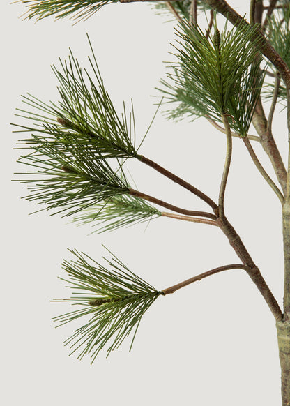 Potted Forest Pine Tree - 44"