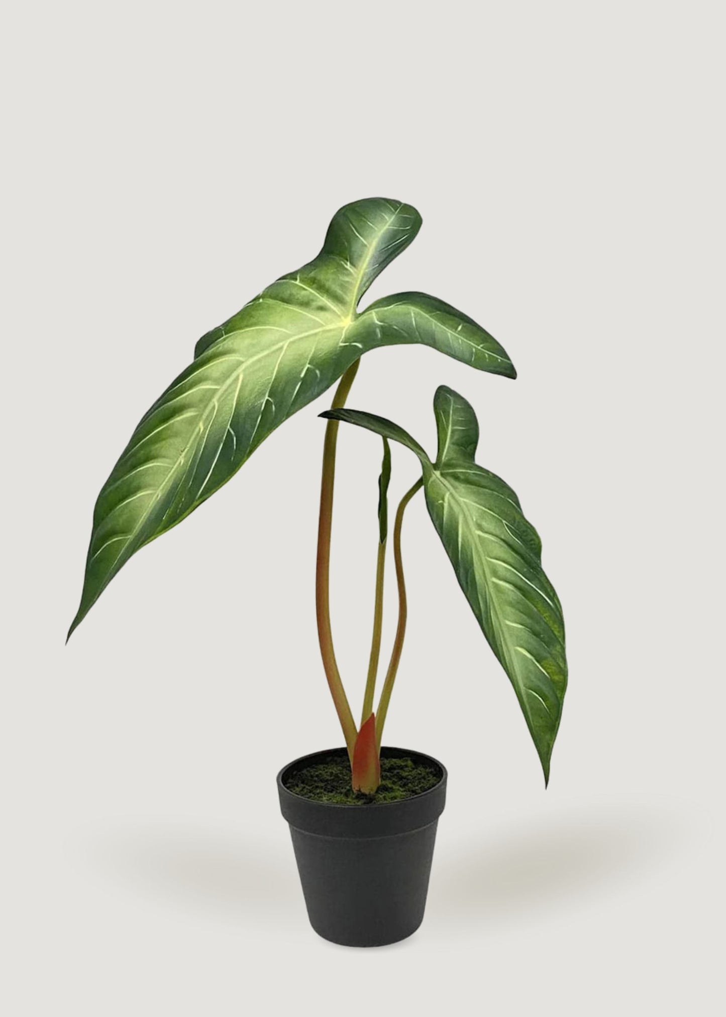 Real Touch Fake Alocasia Tropical Leaf Potted Plant - 17"