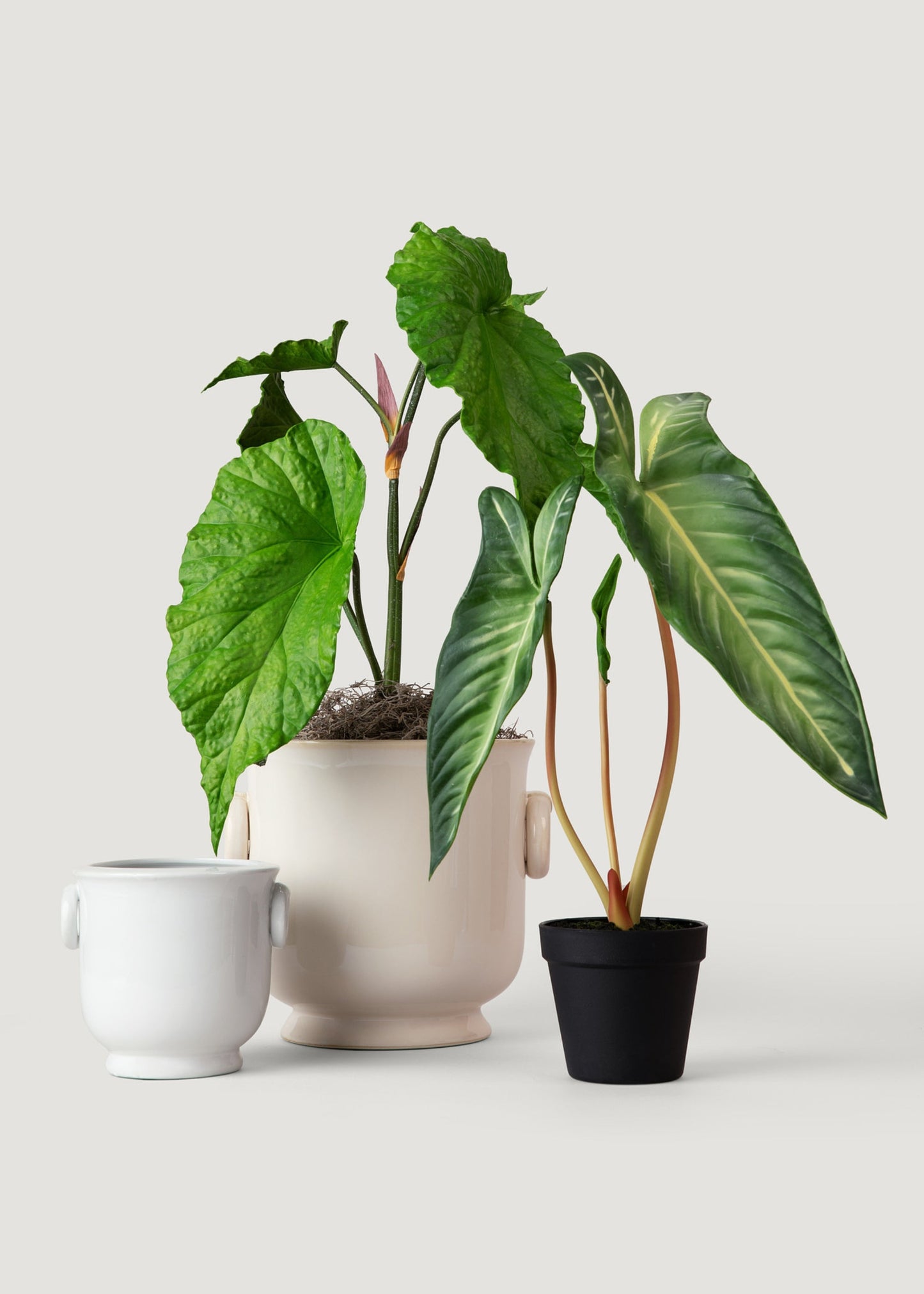 Artificial Tropical Alocasia Leaf Plant in Pot - 21"