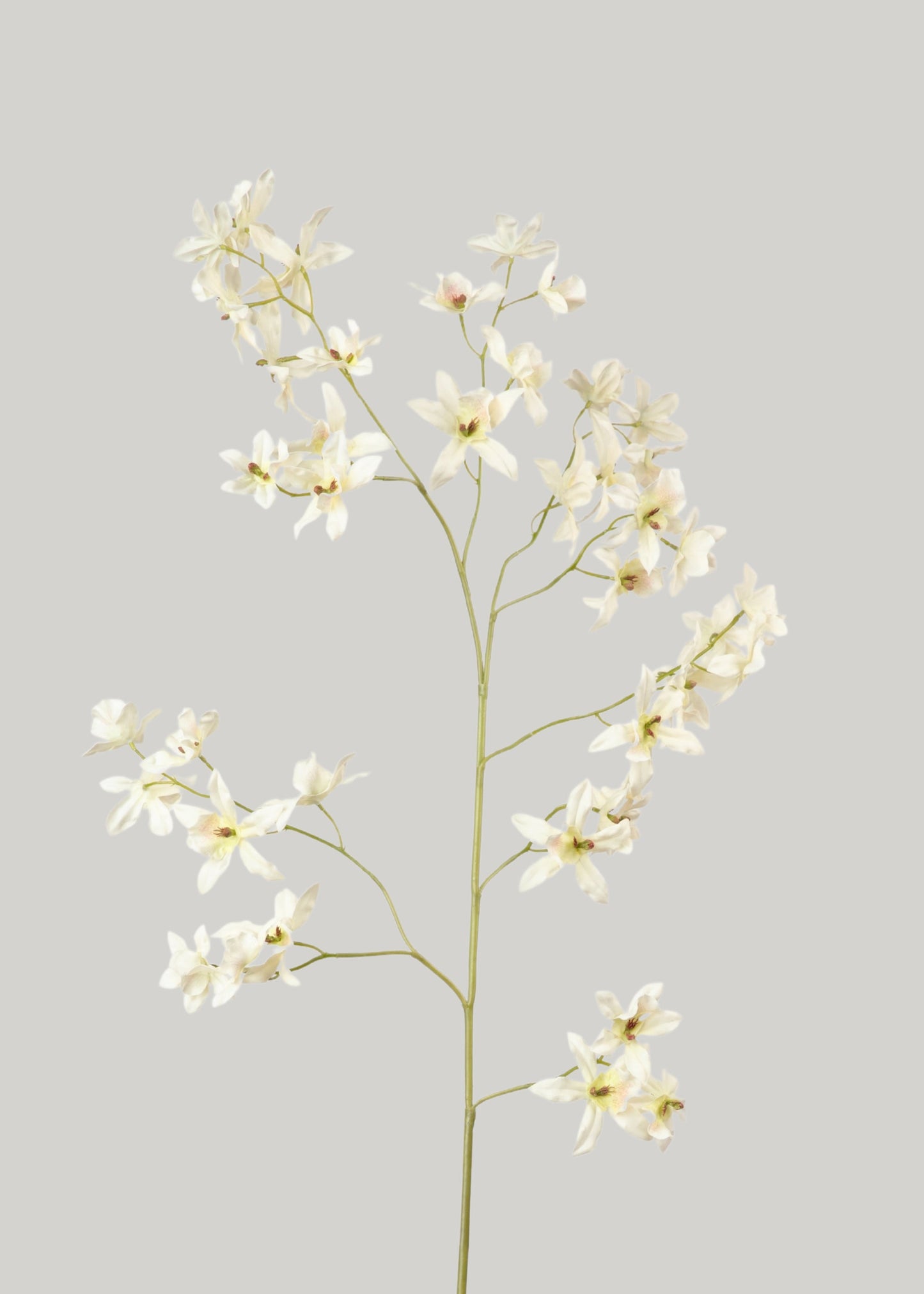 Faux Dancing Oncidium Orchid Branch - 46.5"