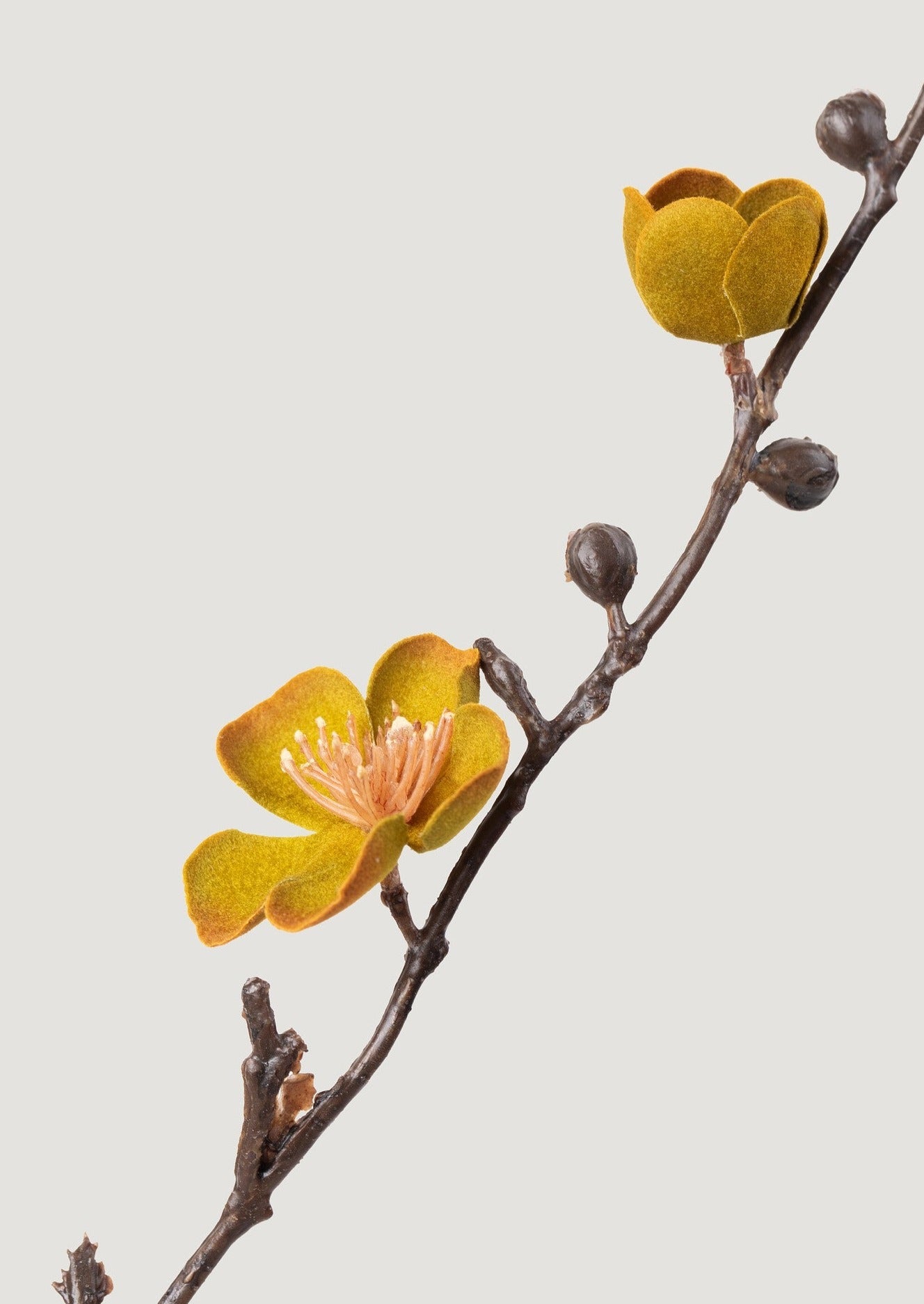 SALE - Artificial Peach Blossom Branch in Aged Mustard - 40"