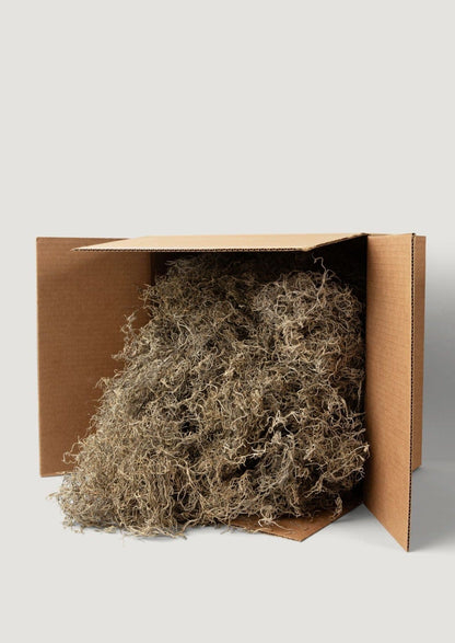 Natural Dried Spanish Moss