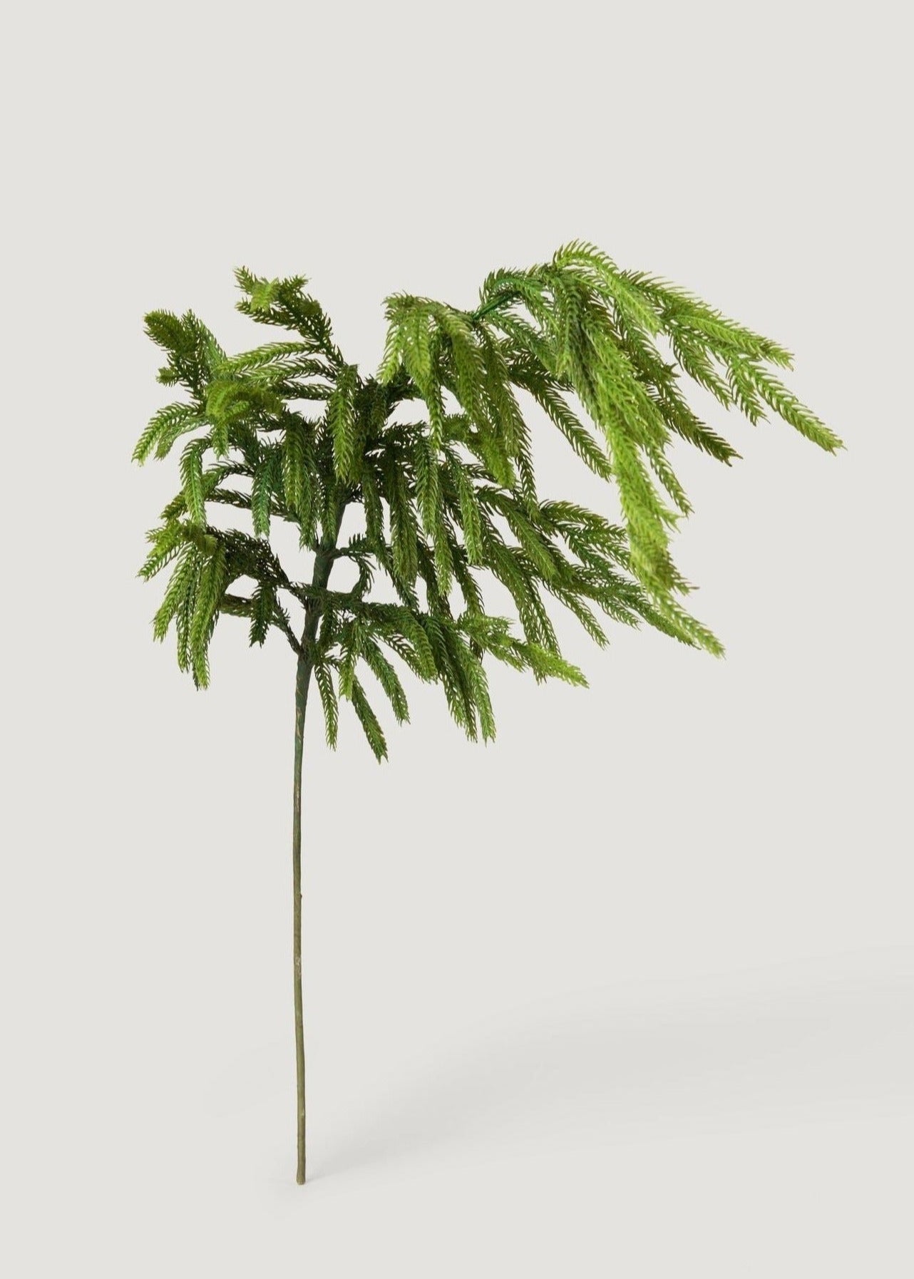 Afloral Real Touch Norfolk Pine Branch - 36"