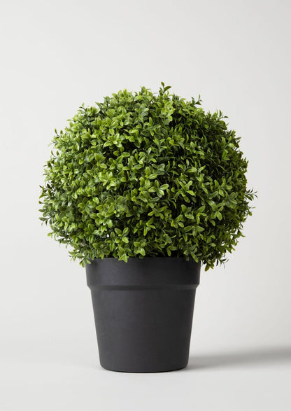 UV Treated Indoor/Covered Outdoor Faux Boxwood Topiary Plant in Pot - 22"