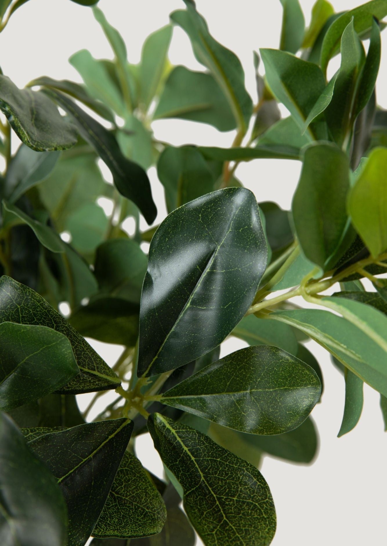 Natural Touch Artificial Wax Privet Leaf Plant - 15"