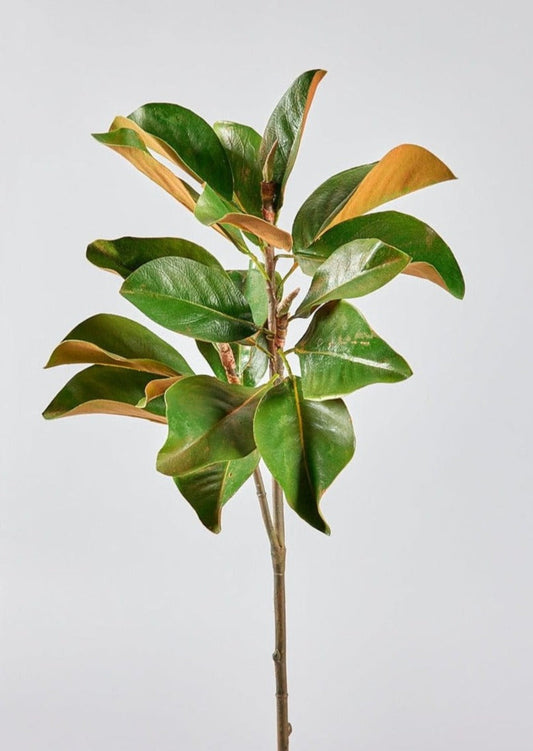 Faux Magnolia Leaf Branch - 41"