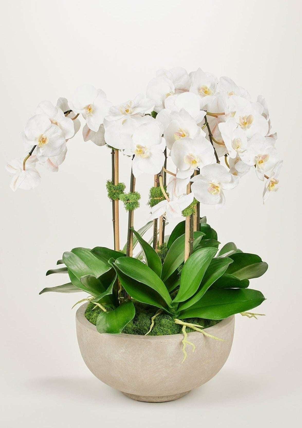 Potted Faux Orchid Flower Arrangement - 28"