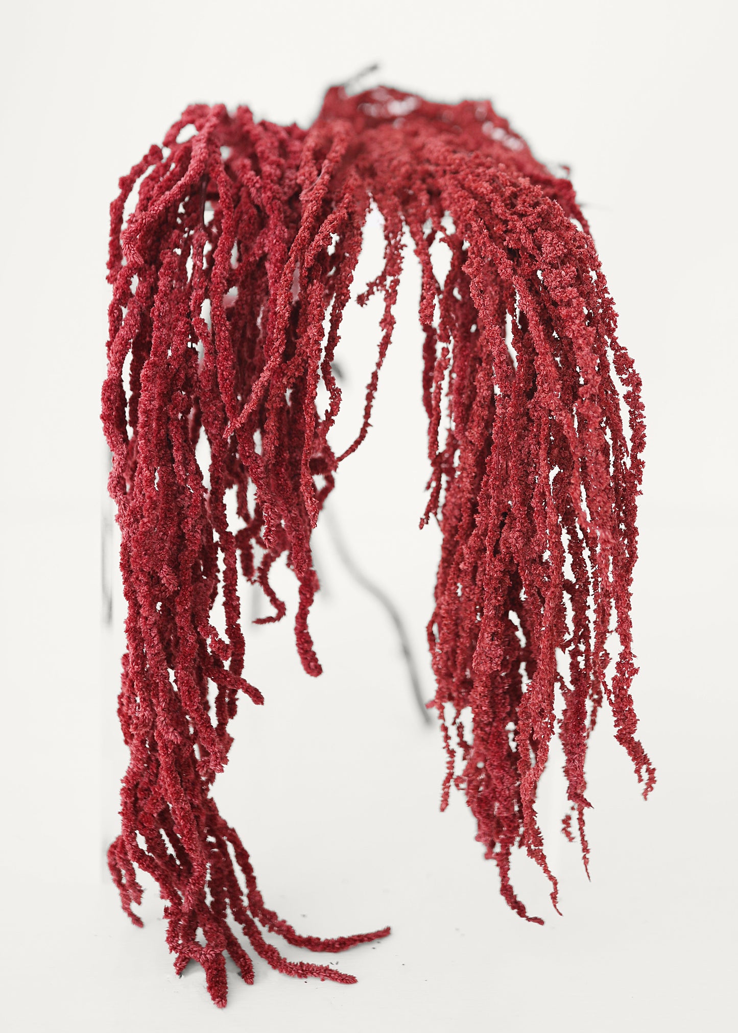 Burgundy Dried Hanging Amaranthus - 32-40"