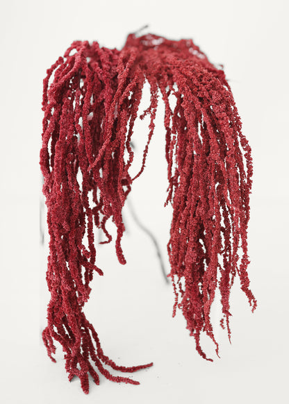 Burgundy Dried Hanging Amaranthus - 32-40"