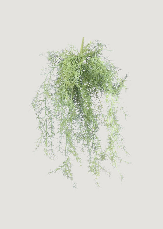 Faux Hanging Asparagus Fern Plant - 22"