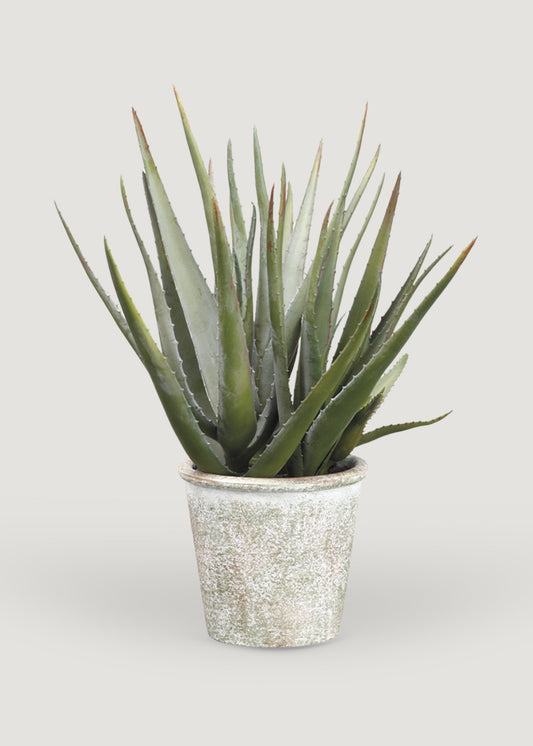 Artificial Potted Agave Succulent Plant - 16.5"