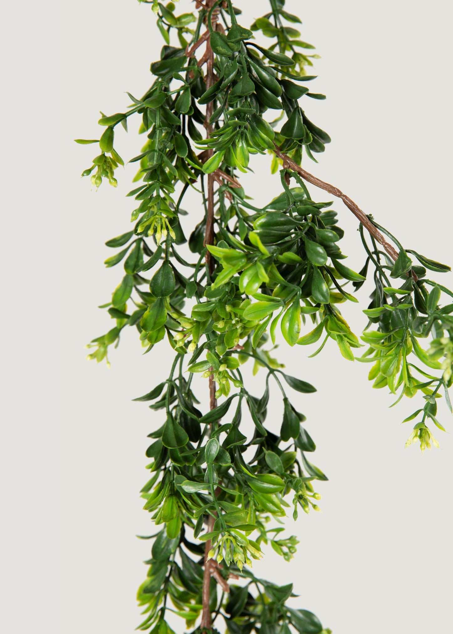 Artificial Boxwood Greenery Garland - 72"