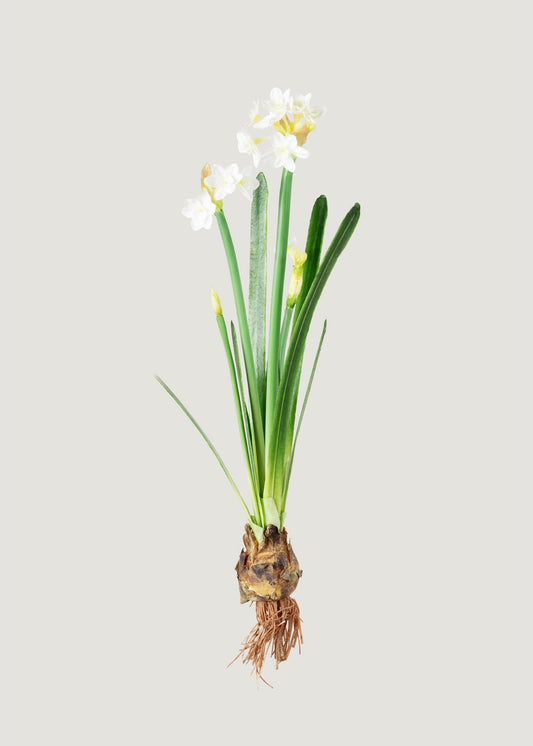 Spring Faux Blooming Paperwhite Narcissus Drop-In Plant - 20"