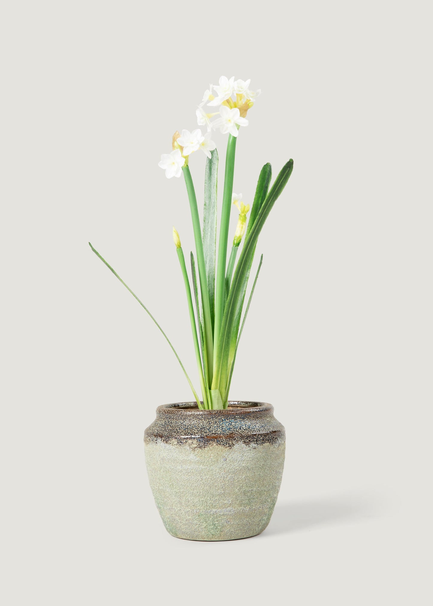 Spring Faux Blooming Paperwhite Narcissus Drop-In Plant - 20"