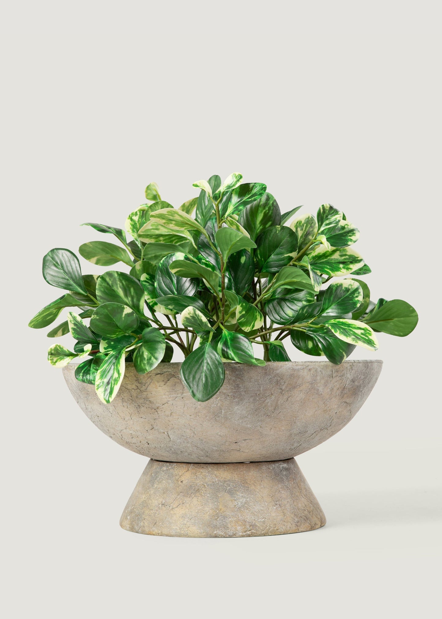 Small Artificial Peperomia Plant in Variegated Green - 16"