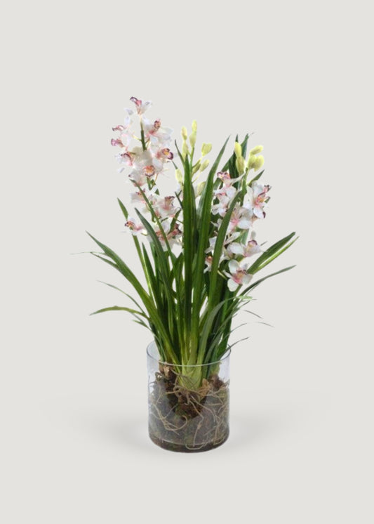 Faux Cymbidium Orchid Potted Plant in Glass Vase - 36"