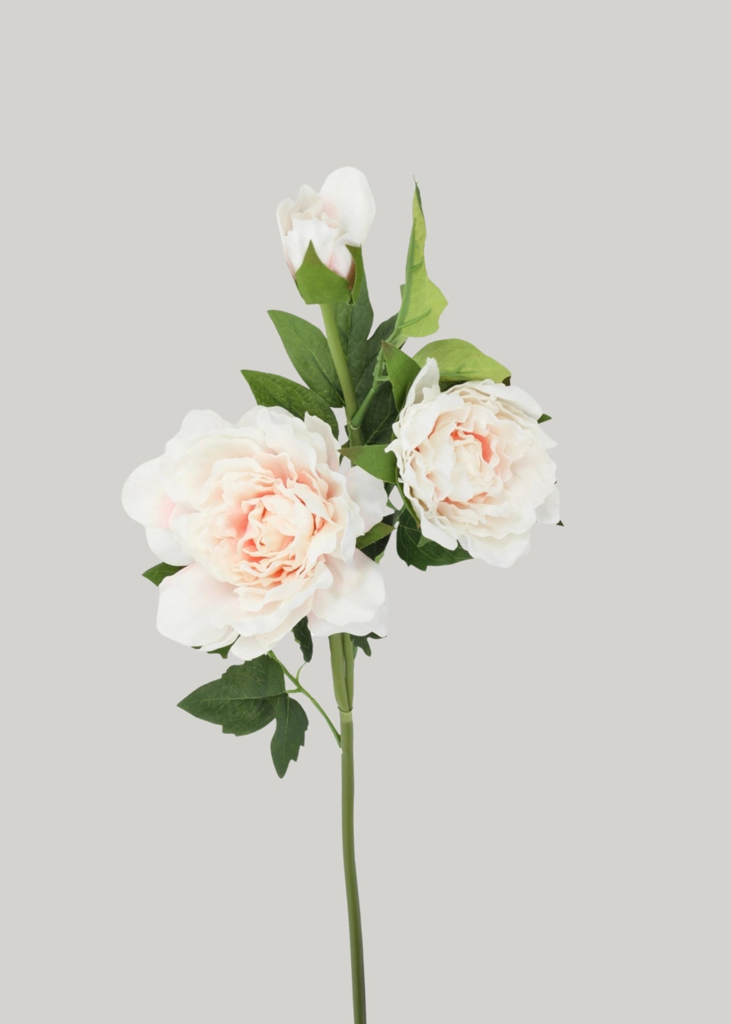 Real Touch Peony Flowers in Soft Pink - 26"